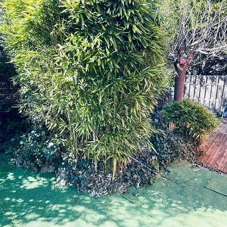 Villa Zen House With A View *