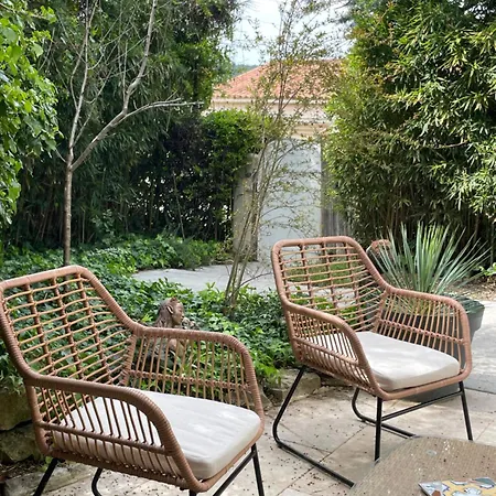 Zen House With A View