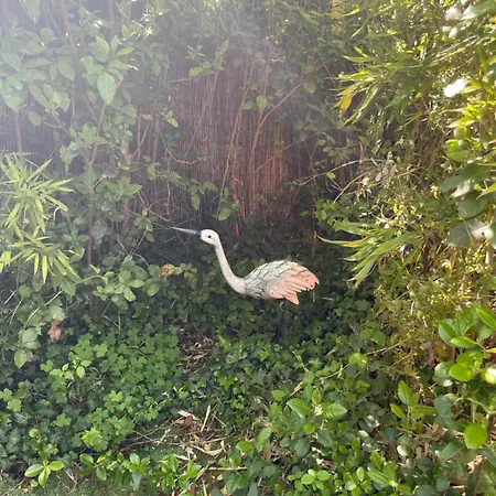 Zen House With A View *