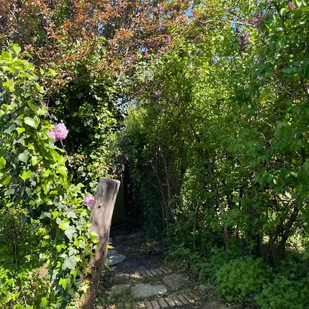 Zen House With A View