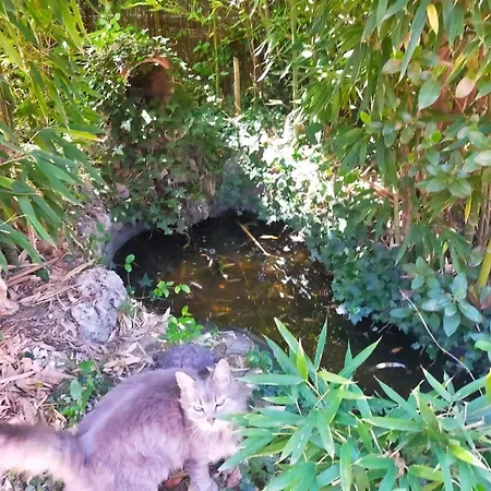 Villa Zen House With A View