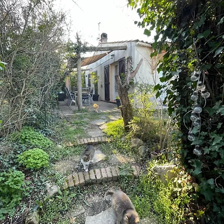 Villa Zen House With A View *