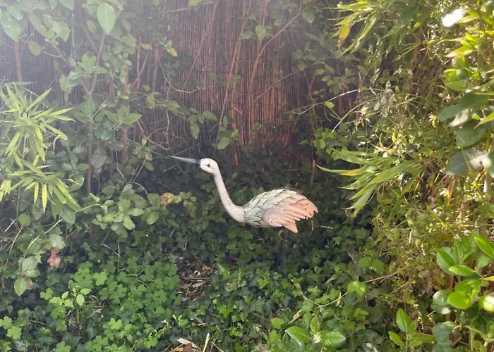 Zen House With A View *