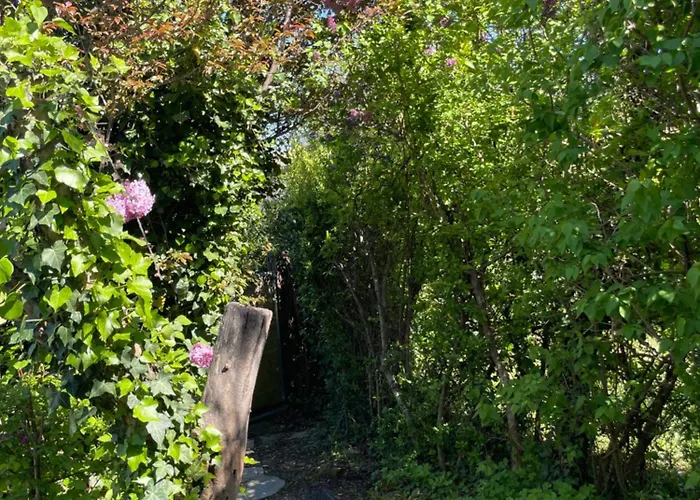 Zen House With A View
